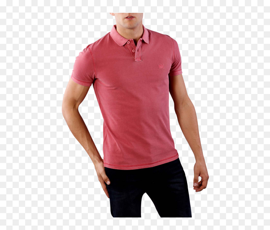 Man, HD Png Download - holly berry png