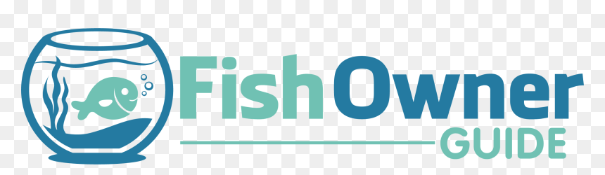 Graphic Design, HD Png Download - fish jumping png