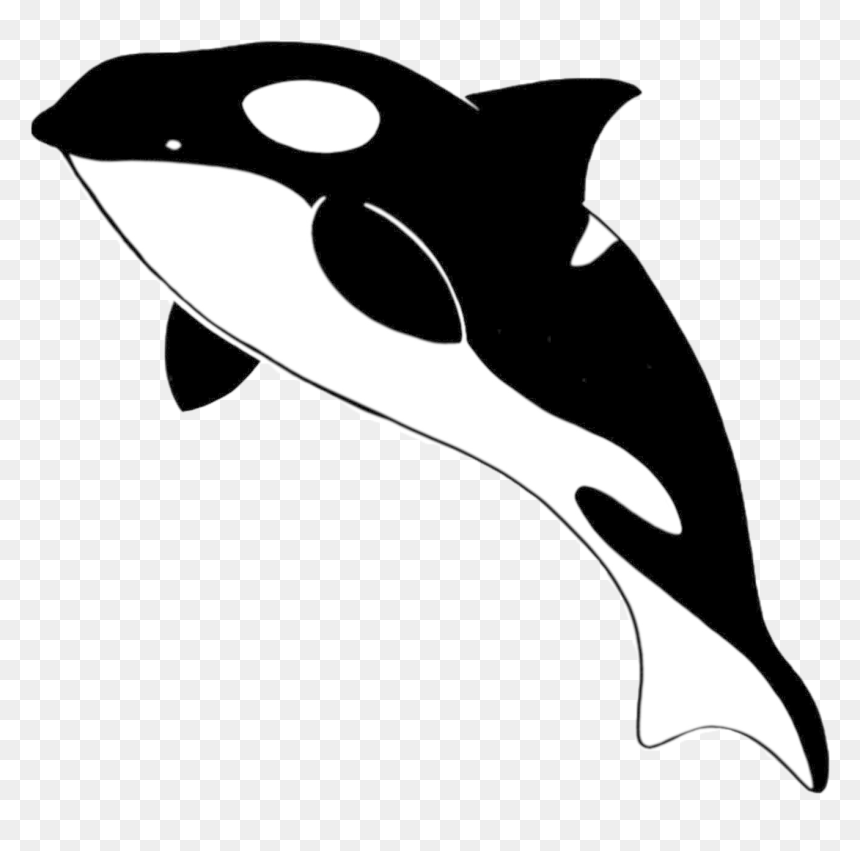 Illustration, HD Png Download - fish jumping png