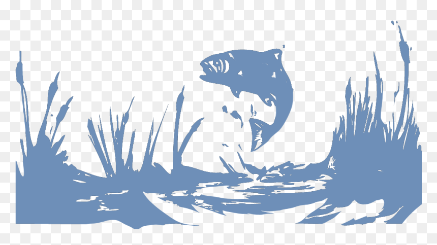 Illustration, HD Png Download - fish jumping png