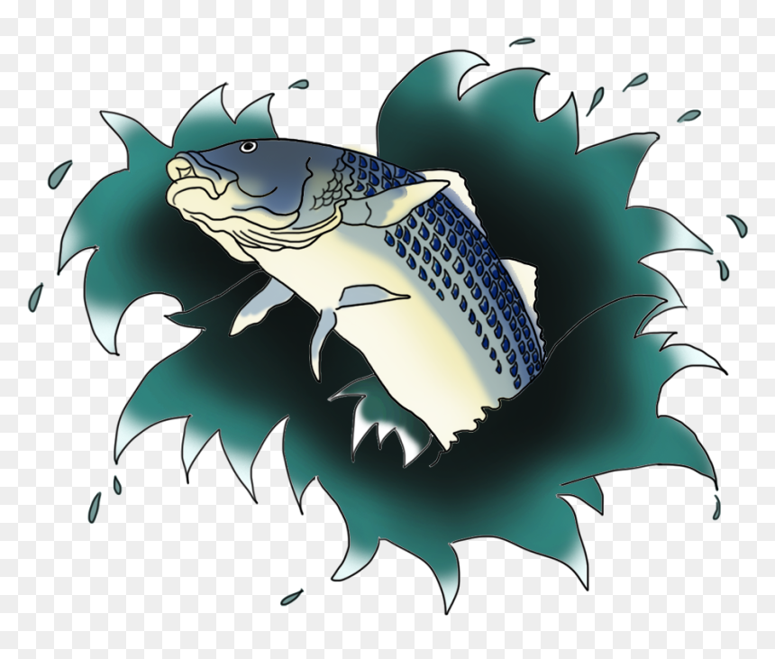 Illustration, HD Png Download - fish jumping png