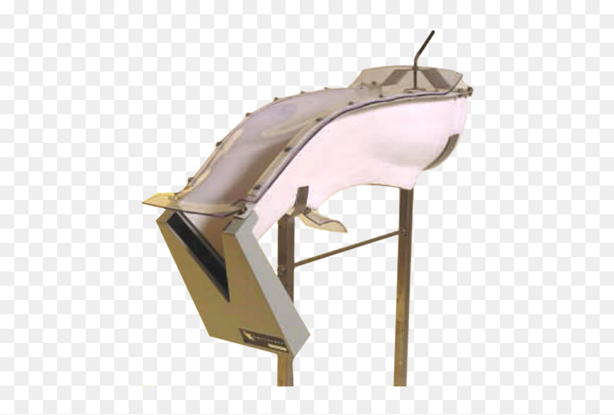 Fish Counter Aquaculture, HD Png Download - fish jumping png