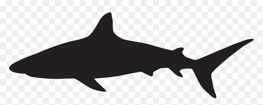 Great White Shark Silhouette Clip Art - Shark Silhouette Png, Transparent Png - great white shark png
