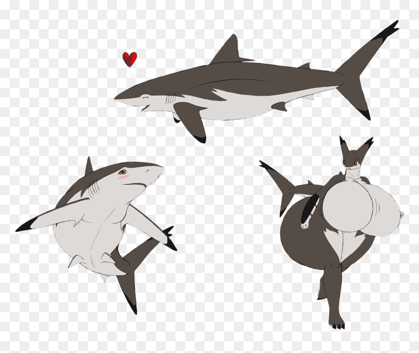Clipart Freeuse Library Great White Chondrichthyes - Big Eye Thresher Shark Cute, HD Png Download - great white shark png
