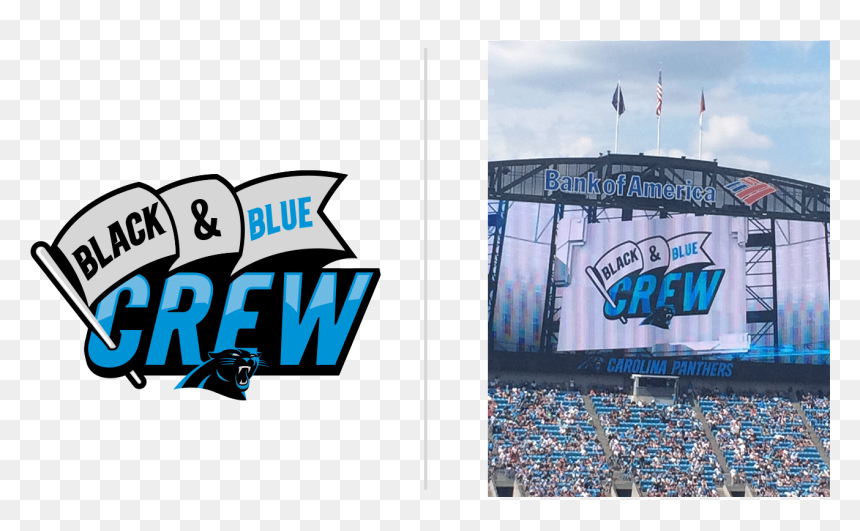 Carolina Panthers , Png Download - Carolina Panthers, Transparent Png - carolina panthers png