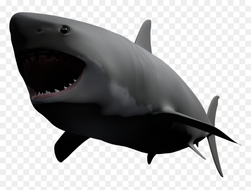 Great White Shark , Png Download - Great White Shark, Transparent Png - great white shark png
