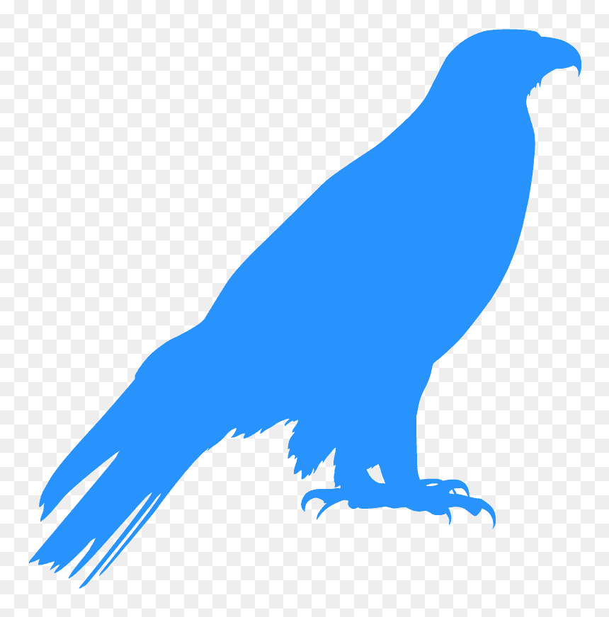 Buzzard, HD Png Download - eagle silhouette png