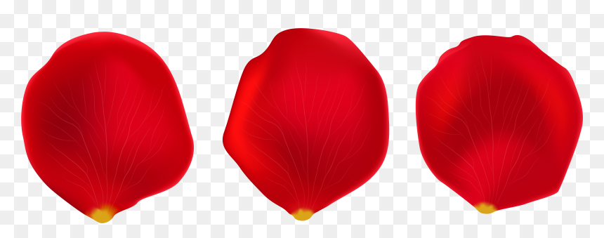 Rose Petal Clipart Free Library Rose Petal Clipart - Rose Petal Clipart, HD Png Download - petals png