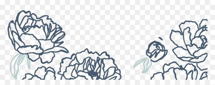 Page Footer Petals - Sketch, HD Png Download - petals png