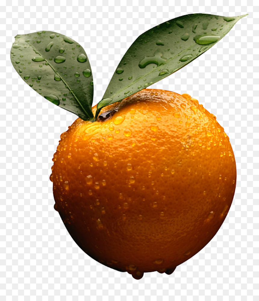 Oranges Png, Transparent Png - oranges png