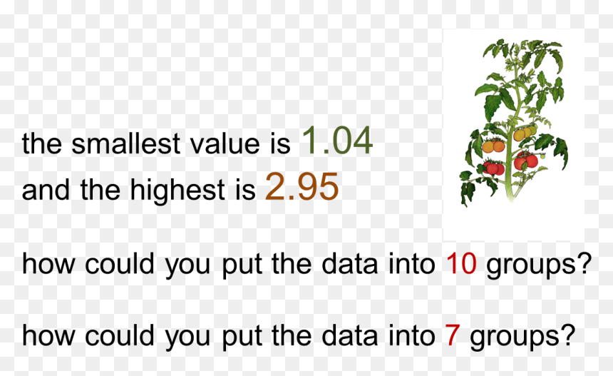 Tomato Plant Heights - Rosa Glauca, HD Png Download - tomato plant png