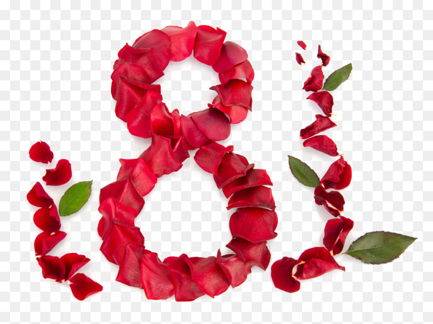 Woman March Color Moldova Character Day Petals Clipart - 8 Mart, HD Png Download - petals png