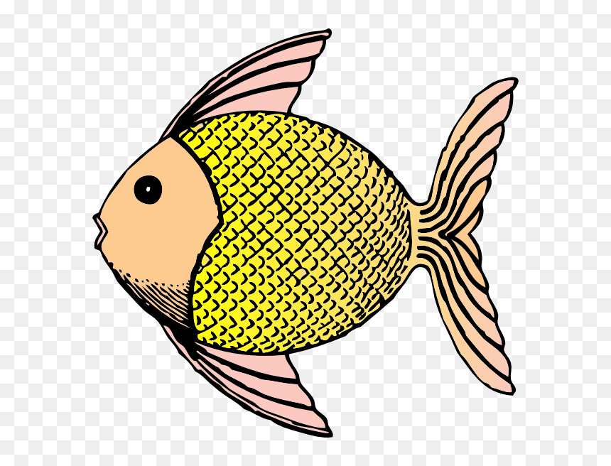 Fish Scale Clipart Png Royalty Free Stock Tropical - Museo Soumaya, Transparent Png - scales png
