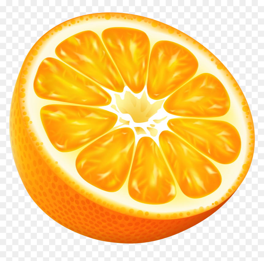 Half Orange Png Vector, Transparent Png - oranges png