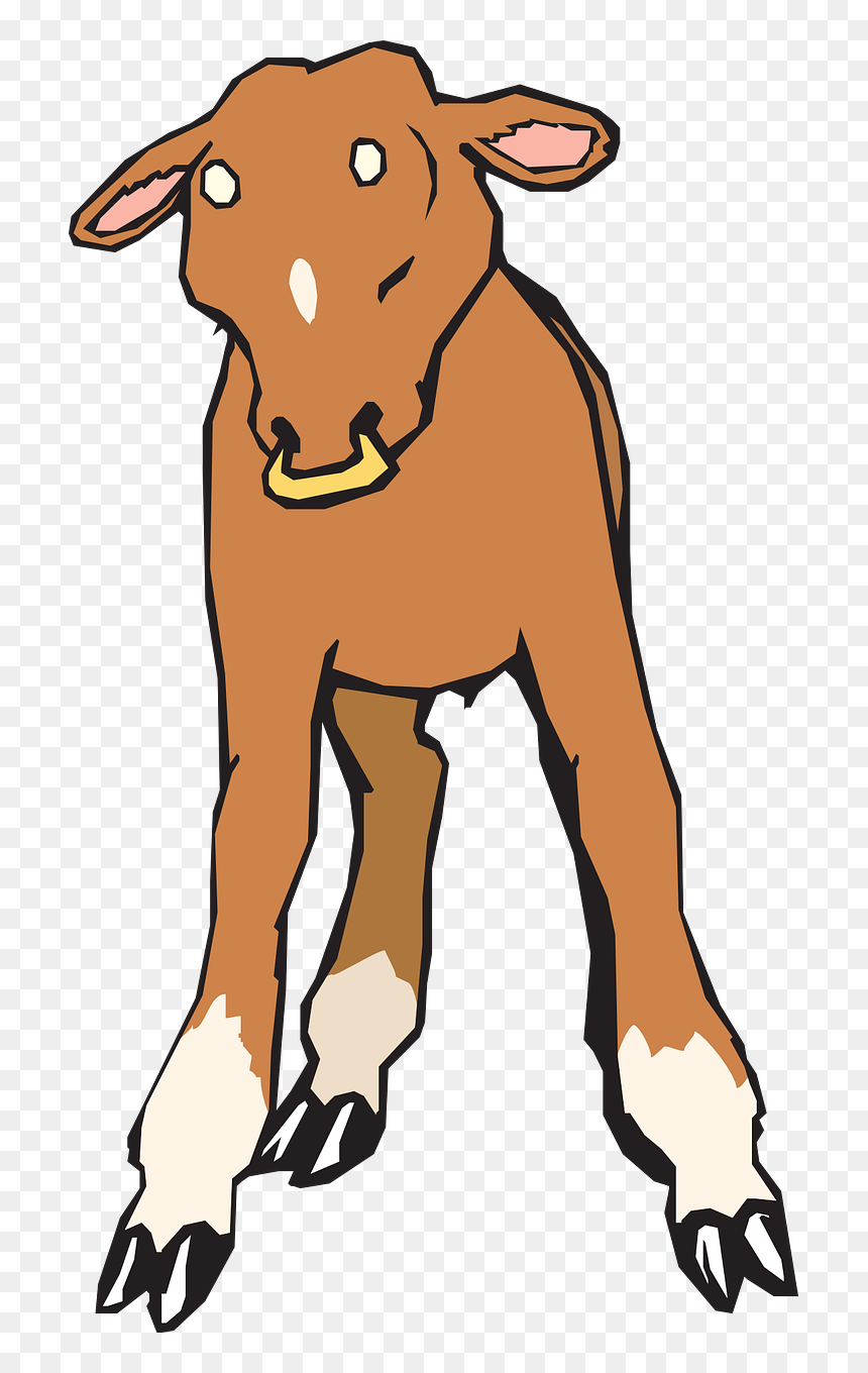 Clip Art, HD Png Download - nose ring png