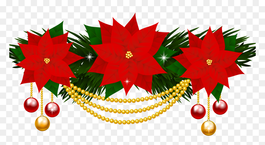 Poinsettia Flower Christmas Clip Art - Clip Art Poinsettia, HD Png Download - poinsettia png