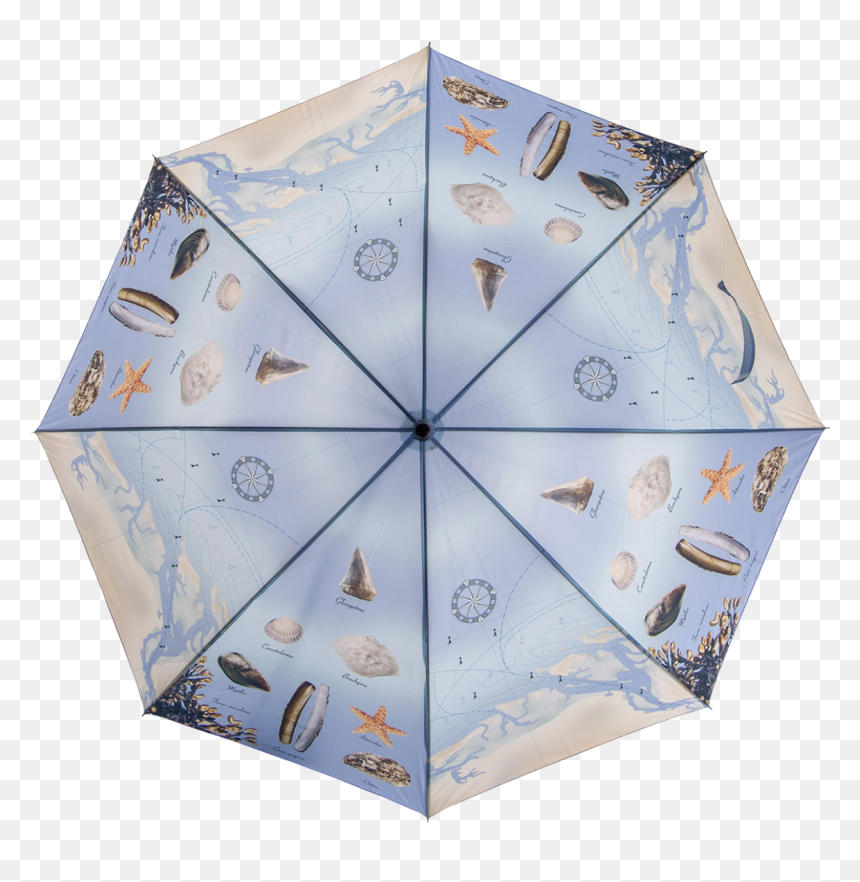 Beach Umbrella - Umbrella, HD Png Download - beach umbrella png