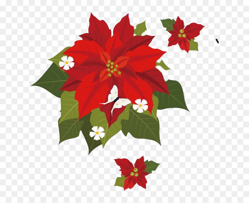 Christmas Poinsettia Png Transparent - Poinsettia Png, Png Download - poinsettia png