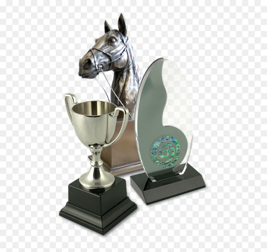 Enquire About Our Large Range Of Trophies - Trophy, HD Png Download - lombardi trophy png