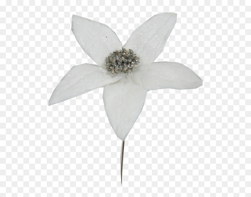 White Glitter Poinsettia Pick - Artificial Flower, HD Png Download - poinsettia png