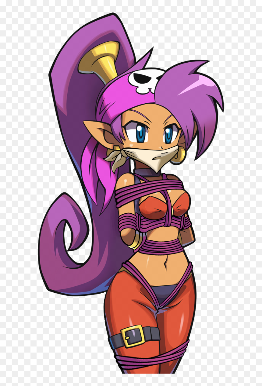 View Samegoogleiqdbsaucenao Pirate Shantae , , Png - Shantae Pirate's Curse Portrait, Transparent Png - shantae png