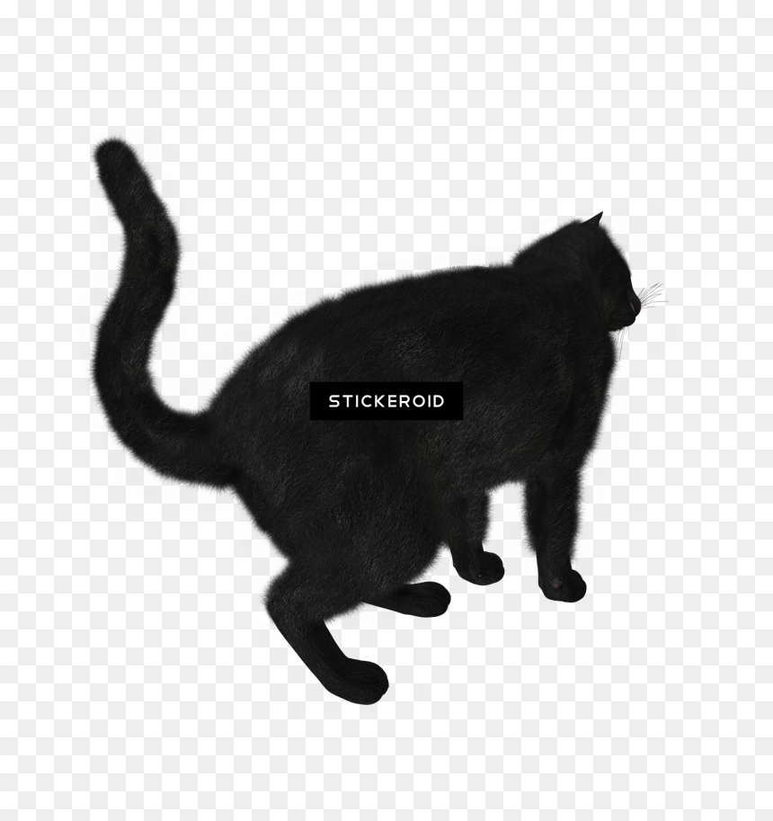 Transparent Black Cat Silhouette Png - Black Cat, Png Download - cat silhouette png