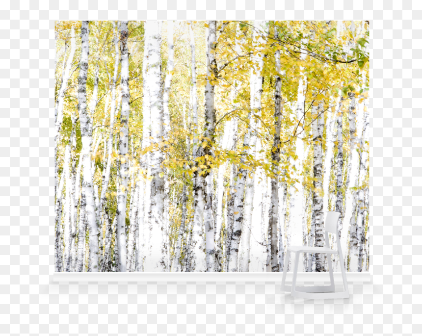 Canoe Birch, HD Png Download - paper tear effect png