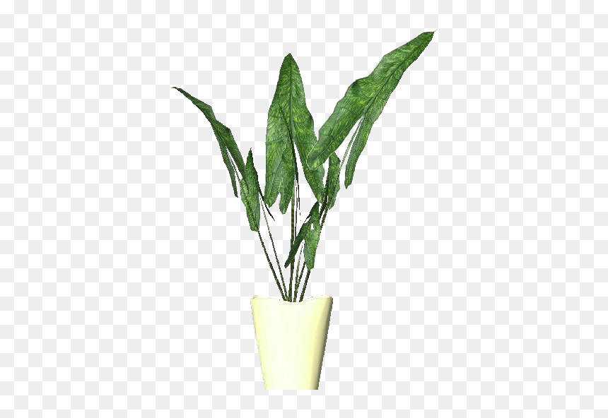 3d Flowers - Alocasia Zebrina - Acca Software - Tropical Flower Vase Tropical Vase Png, Transparent Png - tropical plants png