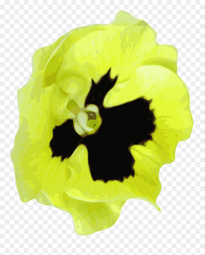 Pansy, HD Png Download - spring flower png