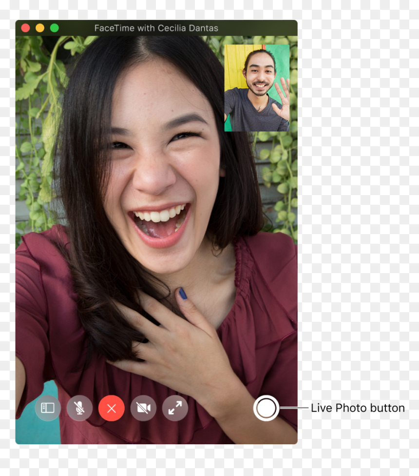 Move The Pointer Over The Facetime Window To See The, HD Png Download - facetime png