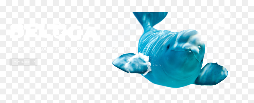 Illustration, HD Png Download - underwater png