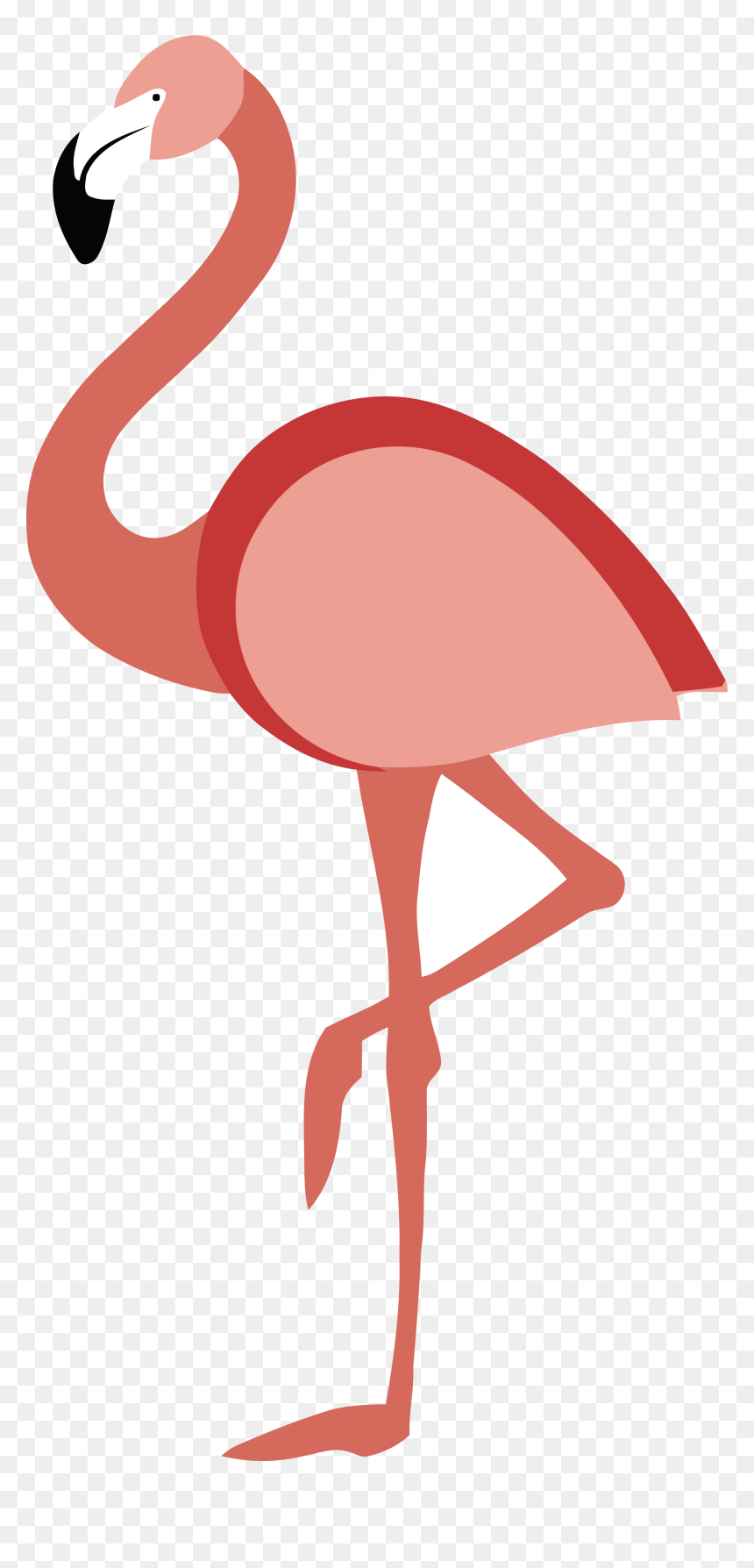Flamingo Clipart Water Clipart - Ibis, HD Png Download - water clipart png