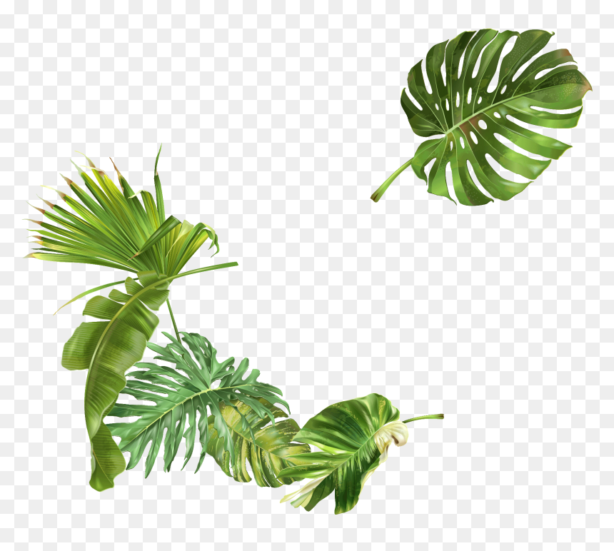 Clip Art, HD Png Download - leafs png