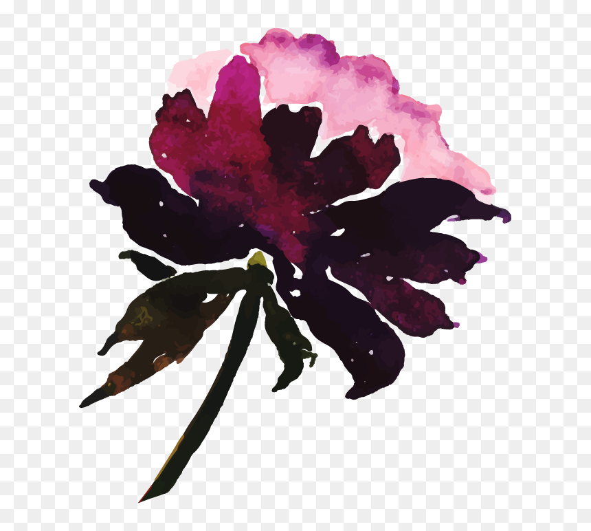 Watercolor Paint, HD Png Download - spring flower png