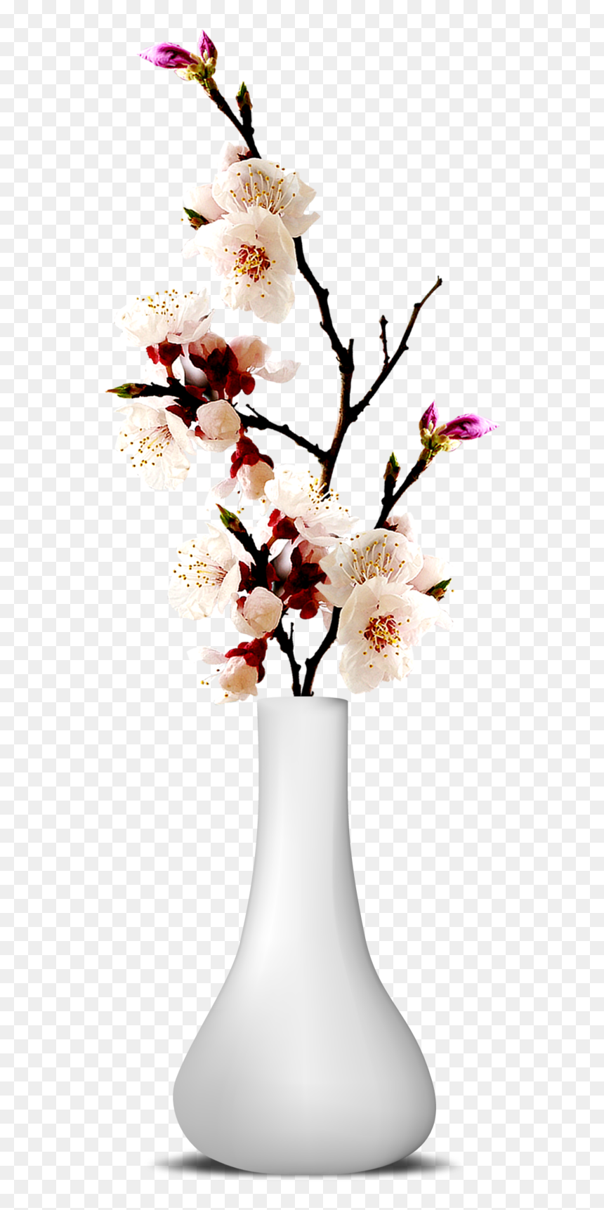 Flower Vase Png Transparent Image - Flower Vase Png Transparent, Png Download - vase png