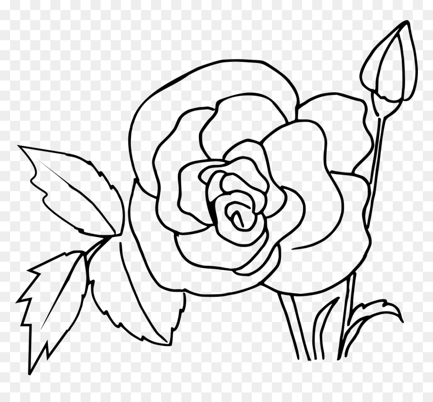 Rózsa Rajzolás Lépésről Lépésre, HD Png Download - flower drawing png