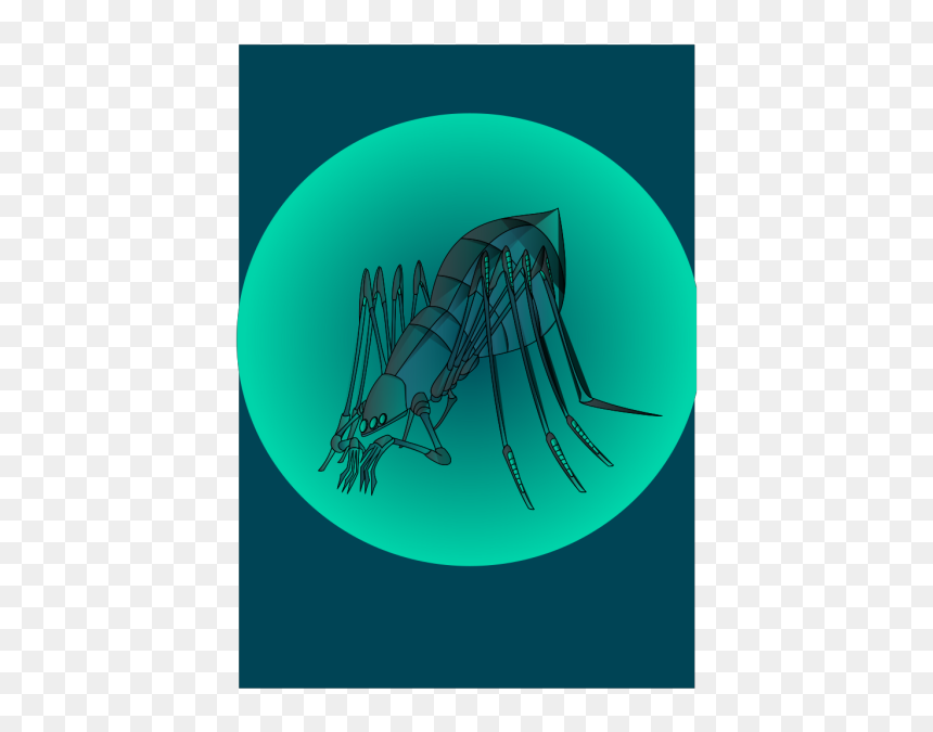 Illustration, HD Png Download - bug png