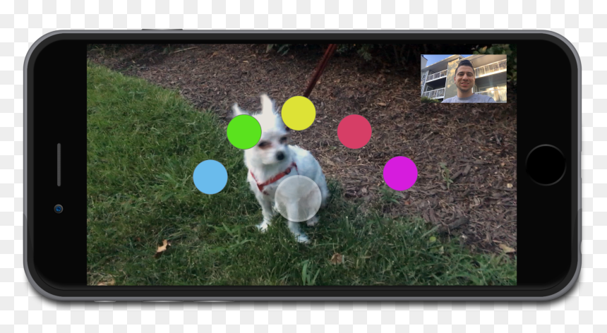 Dog Catches Something, HD Png Download - facetime png