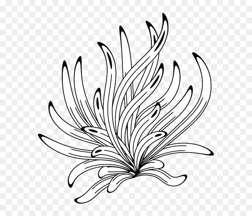 Line Art, HD Png Download - flower drawing png