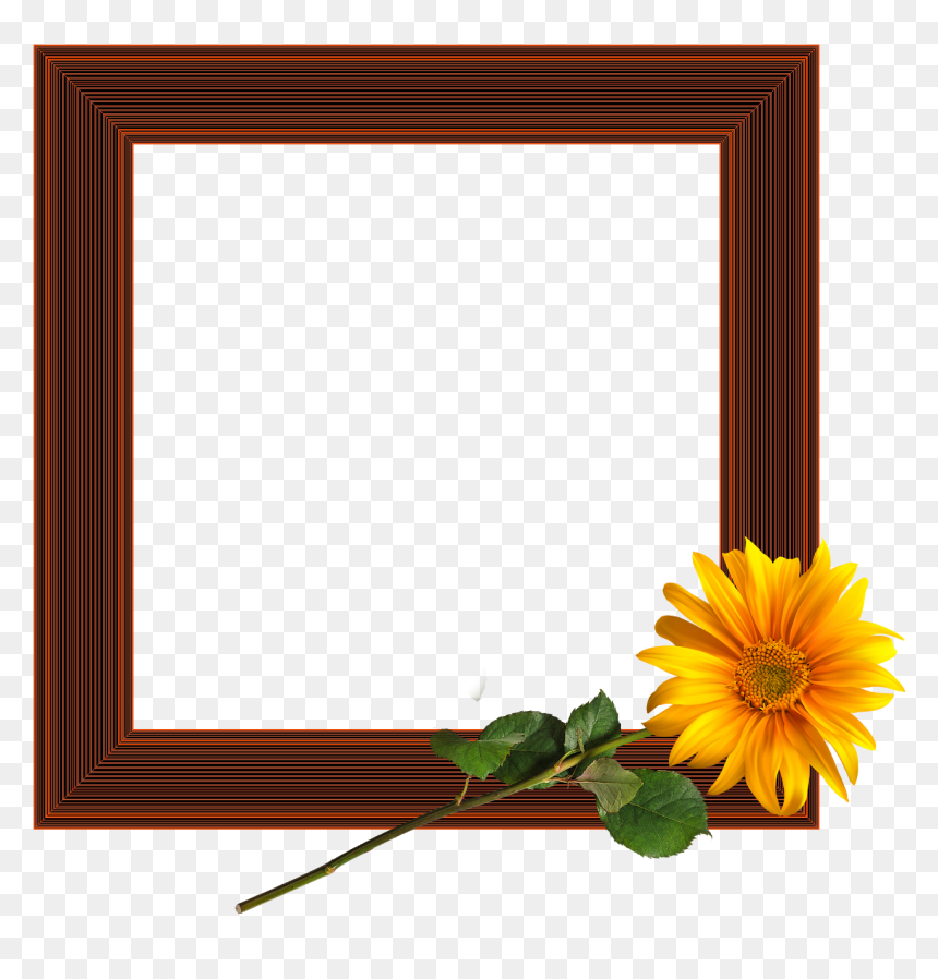 Picture Frame, HD Png Download - marco png