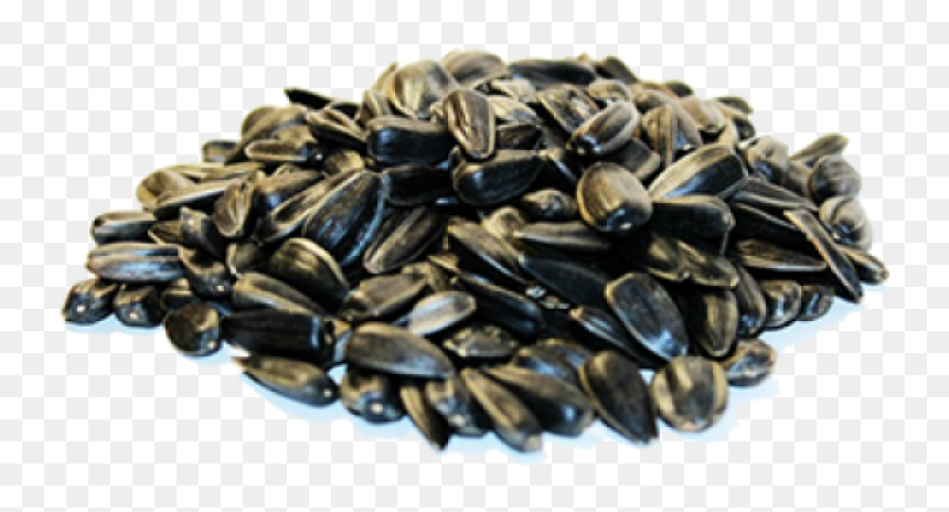 Sunflower Seeds Png Image - Sunflower Seed, Transparent Png - seed png