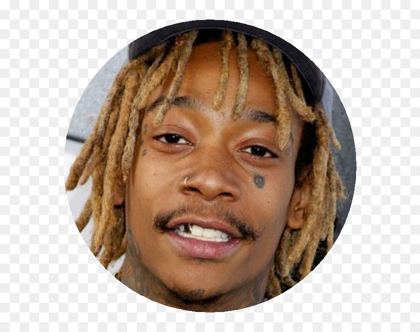 Dreadlocks , Png Download - Dreadlocks, Transparent Png - dreadlocks png