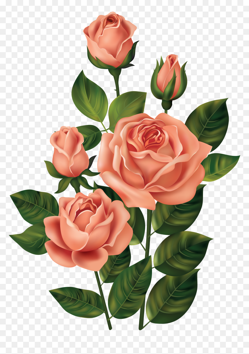 Flowers Vintage Png, Transparent Png - rose clipart png
