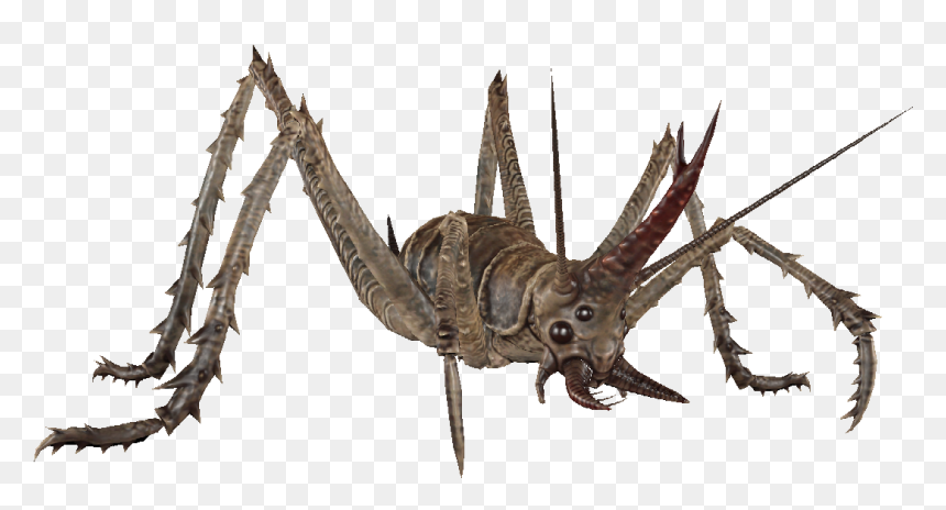 Transparent Cricket Bug Png - Insect, Png Download - bug png