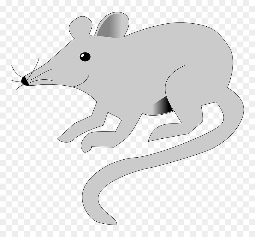Mickey Mouse Silhouette - Mouse, HD Png Download - mickey mouse silhouette png