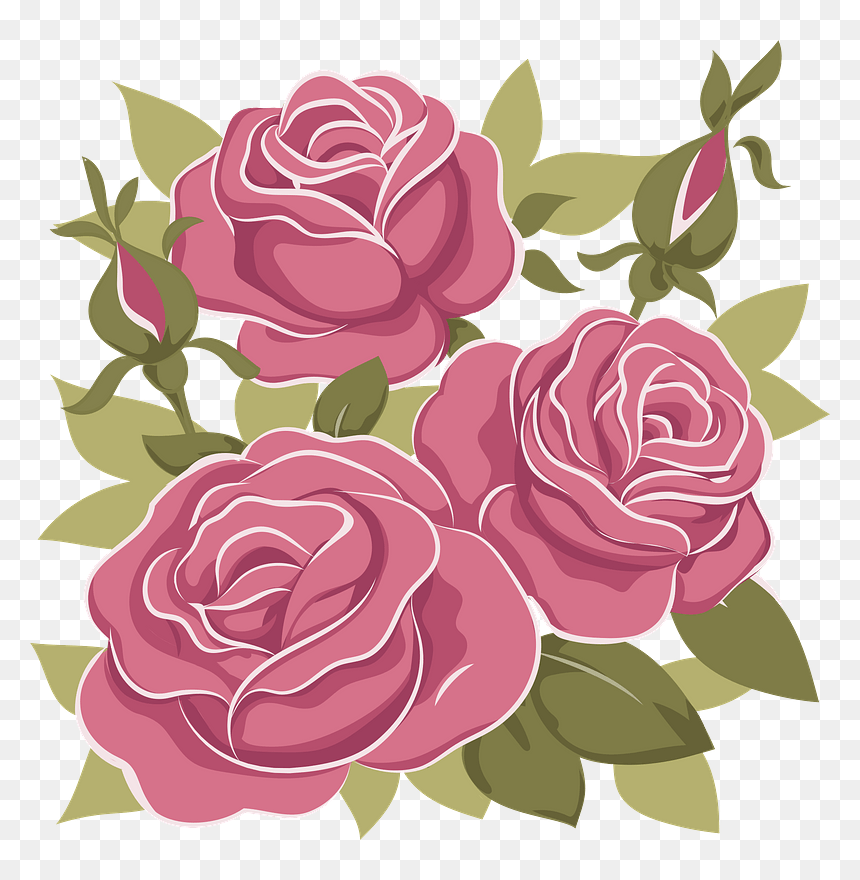 Floribunda, HD Png Download - rose clipart png