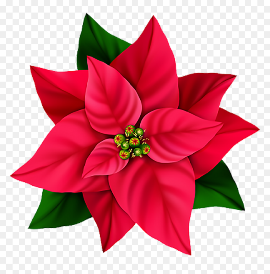 Red Flower Png Image - Hi Res Flowers Png, Transparent Png - red flower png