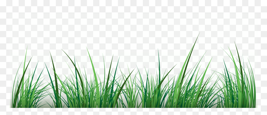 Green Clip Art - Portable Network Graphics, HD Png Download - grass vector png