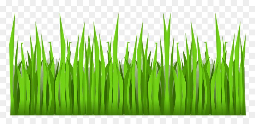 Thumb Image - Cartoon Grass Transparent Background, HD Png Download - grass vector png