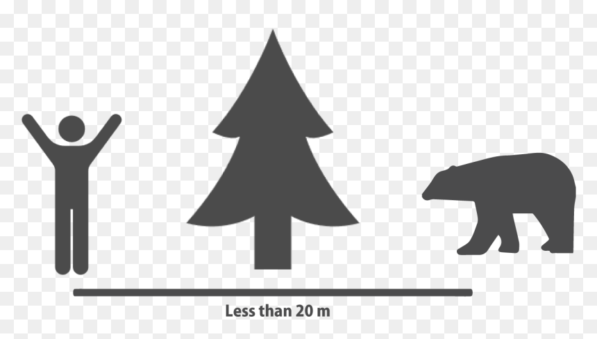 Silhouette, HD Png Download - bear silhouette png